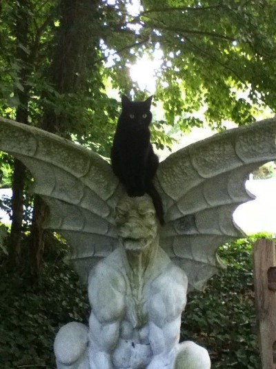 catasters: