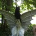 catasters: