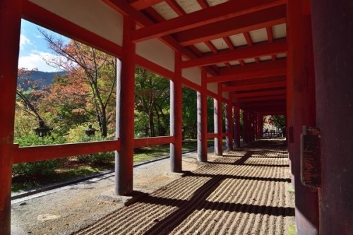 norisunorin - 奈良県　桜井市　多武峰 談山神社　もみじ