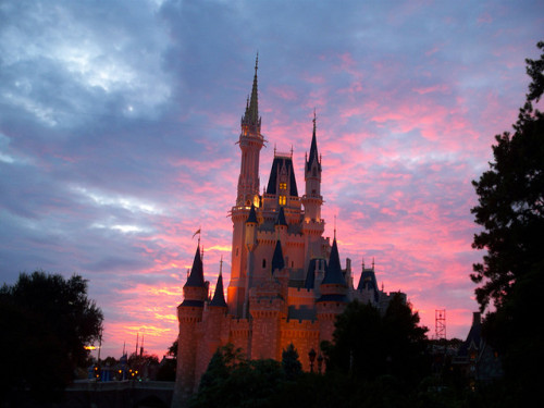 fanoftheworldofthemouse:  Disney Sunset by mgowins911 on Flickr. 