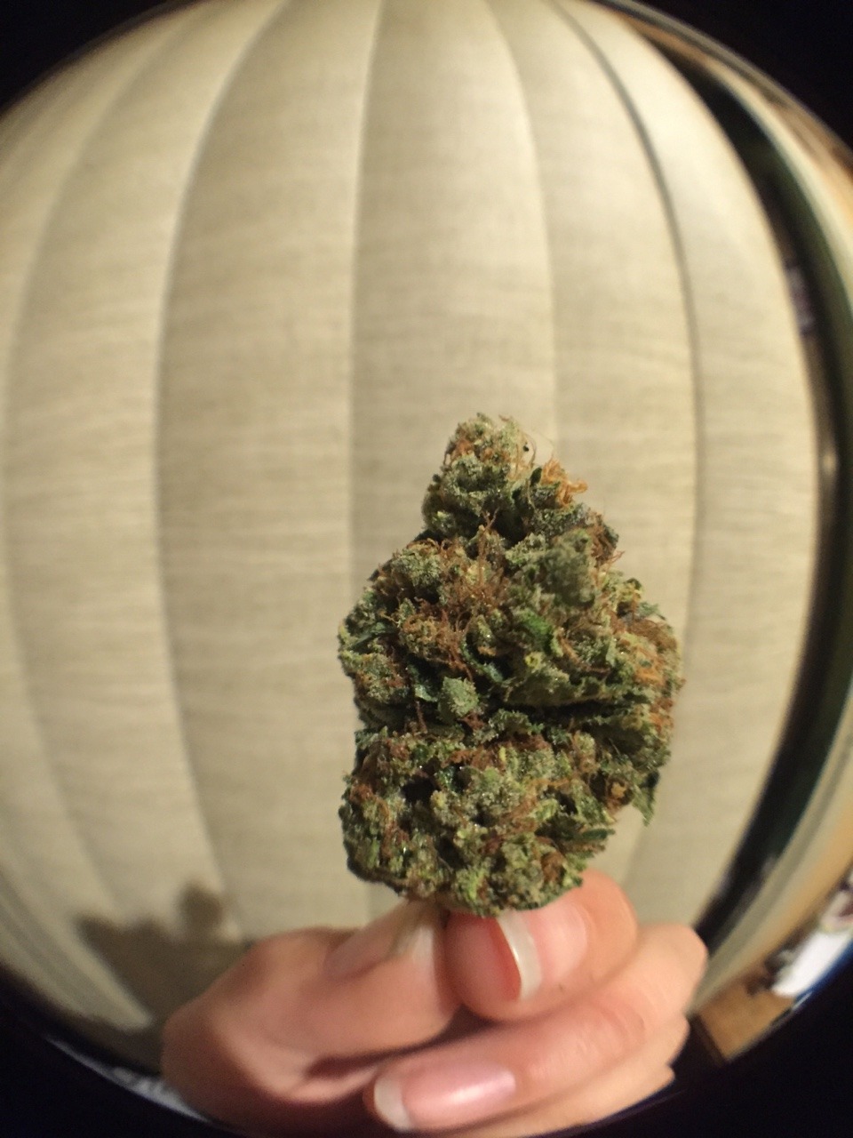 veraisastoner:  Let FriHIGHday begin ✨