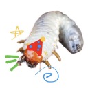 grub-dance - grub-dance’s house