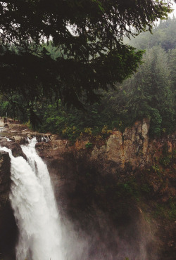 tumhblr:  nature / vintage