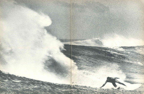 apeninacoquinete: surfing magazine, 1983