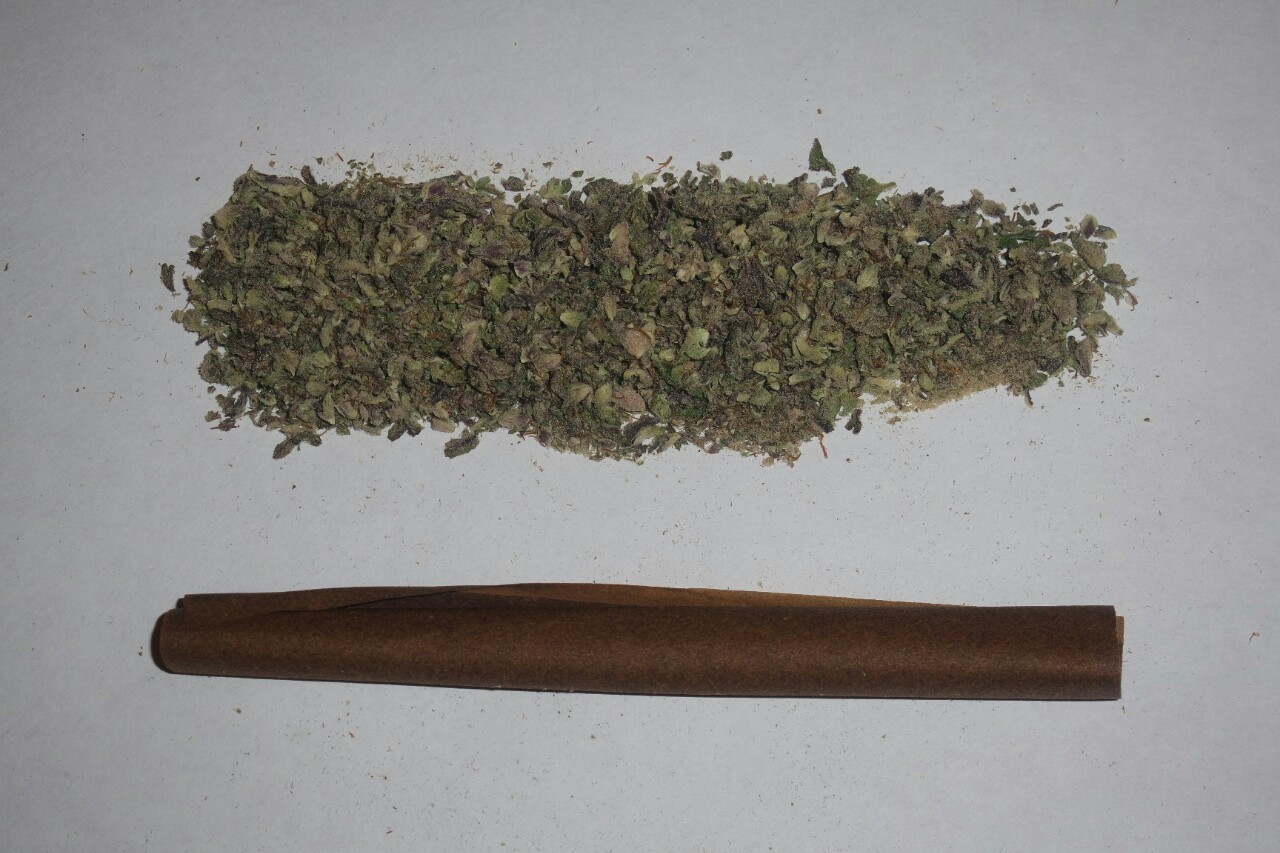 mice-teeth:  Really love how this photo set came out 
