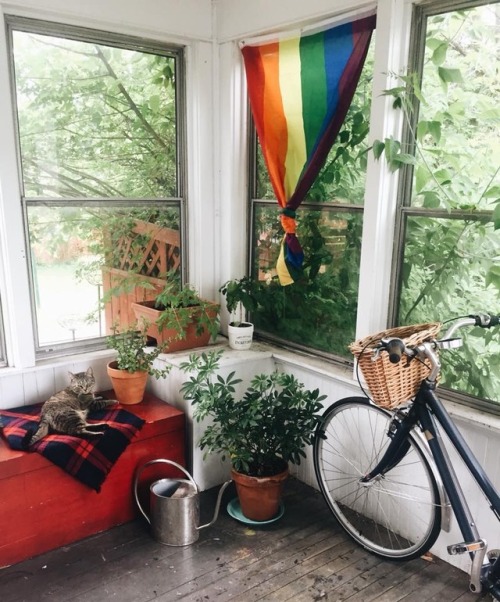 thegestianpoet:anyways look at my gay sunporch 