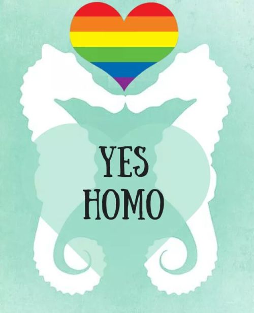 ithelpstodream:  LGBT Valentine’s Day Cards 
