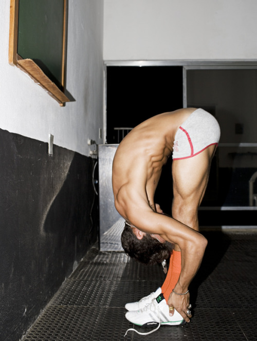 🐧 You Must Be Gay+ To View This Blog*