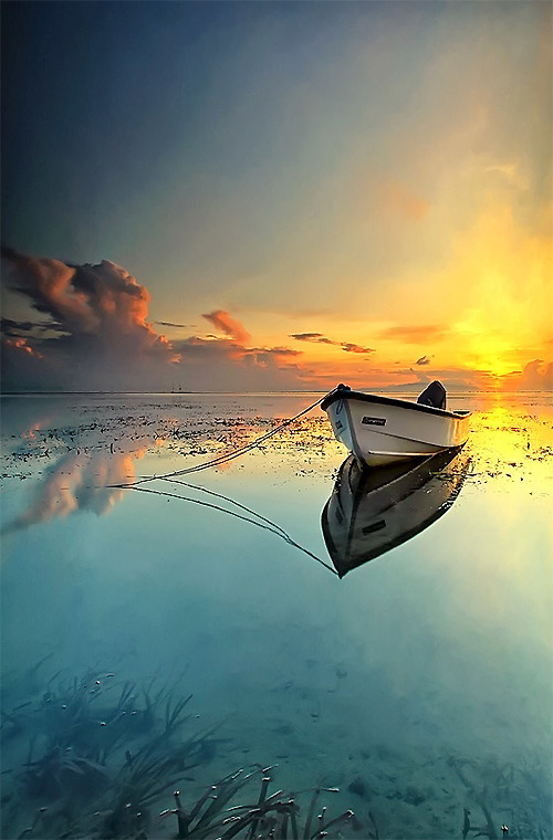 dranilj1:  Silence Morning 