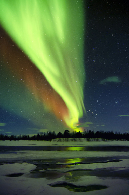 disminucion:  (by Antti-Jussi Liikala) 