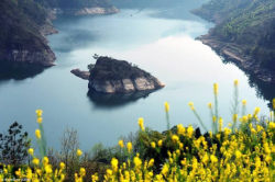 sixpenceee:    The turtle-shaped island that’s underwater nine months out of every year     Every year, thousands of Chinese tourists flock to the Gorges Reservoir to see an elusive turtle-shaped island rise from the waters of the Muodaoxi River. The