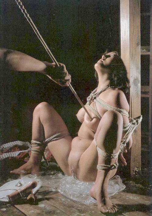 XXX japanese-bondage:  Japanese Bondage photo