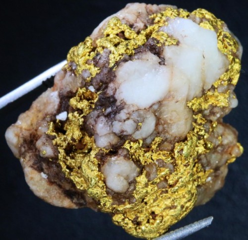 A 34.4-gram gold nugget on a quartz host rock.