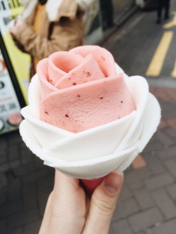 shiizeon:  rose ice milk in myeongdong, seoul 🌹 