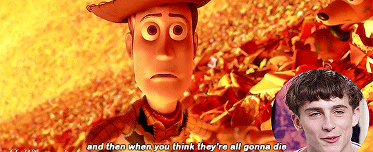 chalametdaily: Films That Makes TIFF Stars Cry