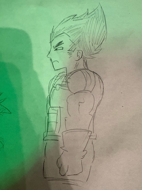 Hhhhhhh I Wanted To Post Something Today So Here, Vegeta, Mr. Ring A Ding, Then My Sona And My Favorite