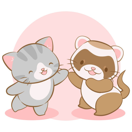 irenekohstudio:Gray-gray meets ferret. What do you think they’ll say to each other?