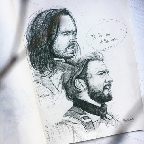 bucky &amp; steve