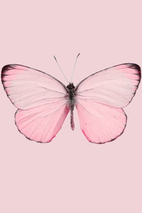 ethereal-faery:☀💠 hippie, nature and more 💠☀