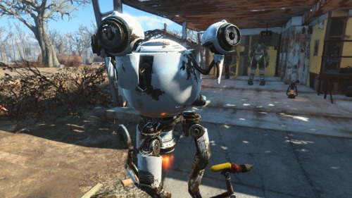 thrillhoisok:  Reminder that Curie is objectively best waifu and if you disagree you’re dead w