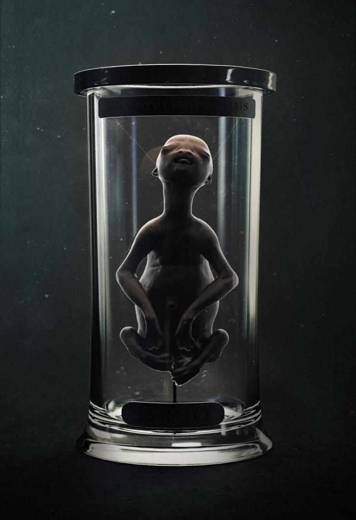 sixpenceee:  The preserved sloth fetus above looks eerily like an alien. 