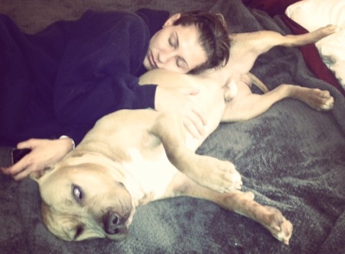 fundapetmiracle:  If anyone is able to re-blog this so we can get Bronx some help, it would be greatly appreciated. Bronx is two year old pit bull who was on the euthanasia list at San Pedro Shelter.  Second Chance Rescue drove from Vegas to save his