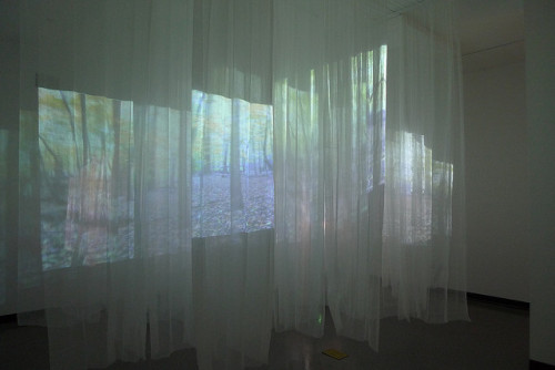 felibre:  Forest, by Joonhee Park, 2010 A New Media, Video Installation This 3-D Installation is a New Media, looped, video projection, with multiple projectors, running simultaneously, each projecting different, looped footage. John Walford 