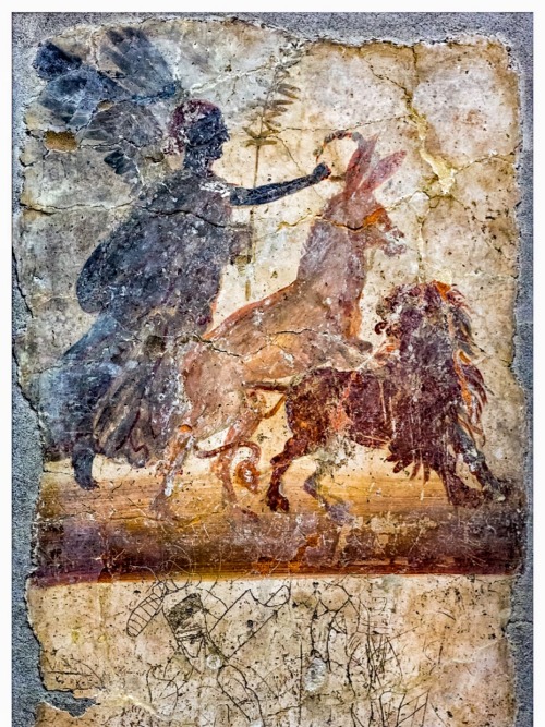 Nike crowning a donkey which penetrates a lion - Pompeii / bit.ly/3r1DGdn