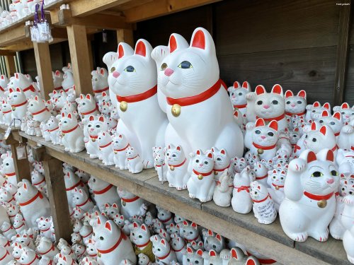 matryokeshi: Lucky cats in Gotokuji Temple, Tokyo, Japan  One of my dreams is to go to the temples a