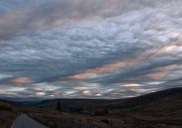 sixpenceee: Asperatus Clouds are so rare that they were only classified as of 2009.