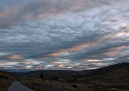 sixpenceee: Asperatus Clouds are so rare that they were only classified as of 2009. We know little about them other than the fact that they look mesmerizing.