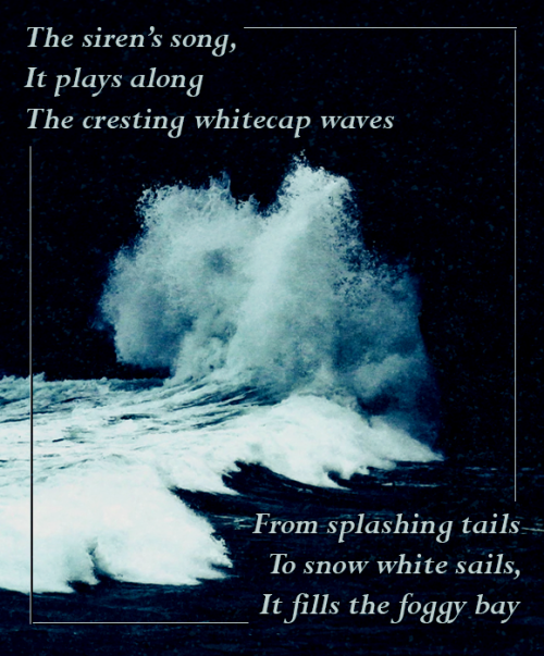 quilloftheclouds: The siren’s song,It plays alongThe cresting whitecap waves From splashing ta