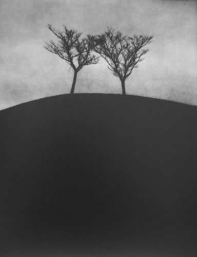 Edward Dimsdale - Twin trees, Autumn 2002. Toned silver gelatin print from a paper negative.