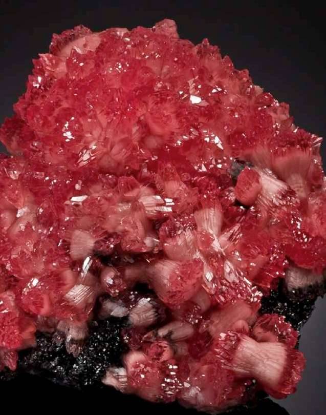 Rhodochrosite - N'chwaning II Mine, Northern Cape Province, South Africa 