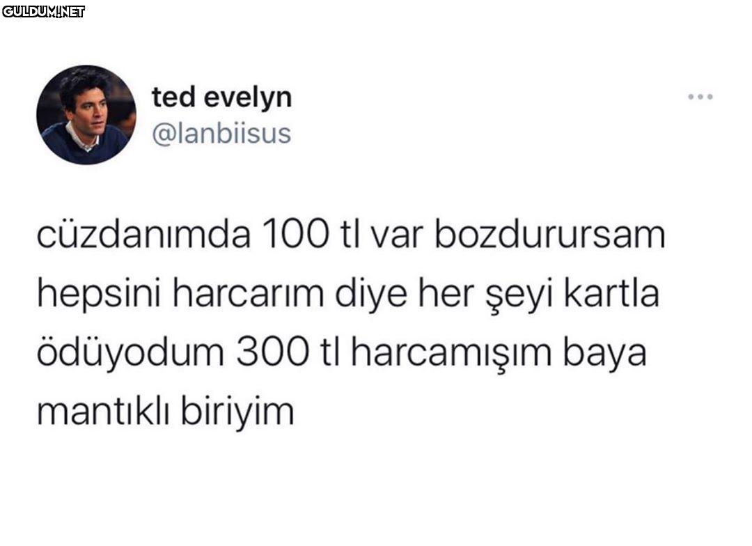 mantıklı bence de ted...