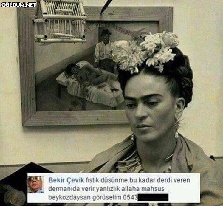 Frida Kahlo’ya yürüyen...