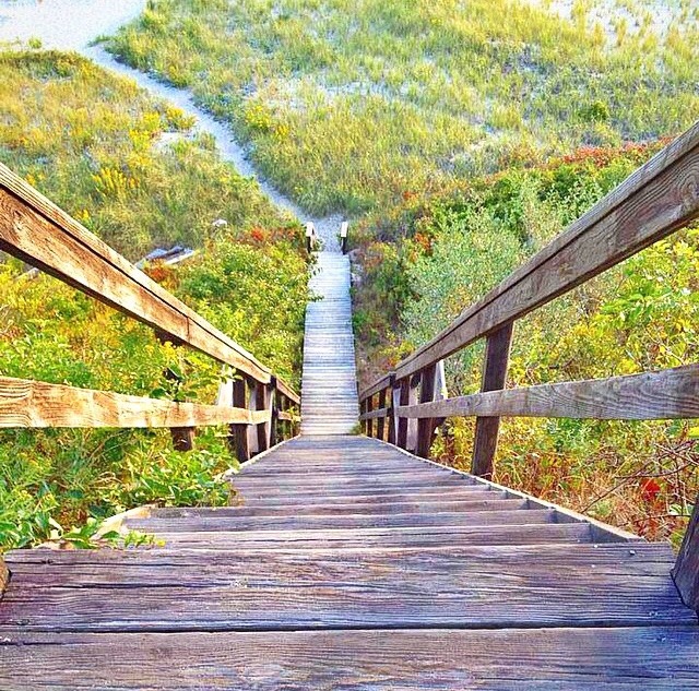 cape-cod-classy:  Steps to the beach, Cape Cod, MA