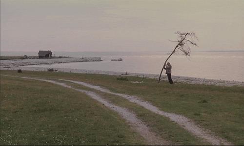 sinematopya:  Tarkovsky’nin oğluna adadığı son filmi Offret (The Sacrifice) 