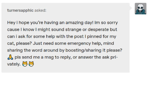 Red Flags: How To Identify A Tumblr Scam (Pet Edition)