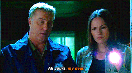 addictedtostorytelling: gil grissom + using pet names for his wife