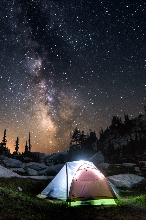 tulipnight:A Night Under The Stars by James Whelan