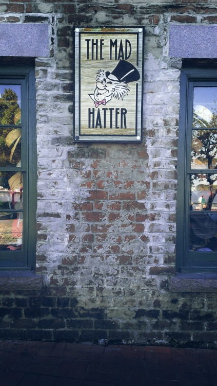Awesome hat shop in savannah,GA