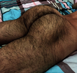 smellspissandmore:I imagine how musky this hot hairy ass must get on a hot day. Would love to get my nose and tongue between his ass cheeks to enjoy the scent and taste.