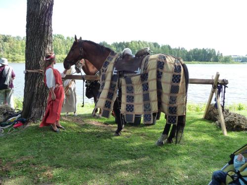 Hämeenlinna medieval fairAugust 2009