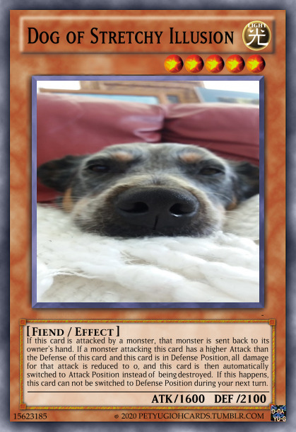 petyugiohcards