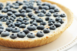 guardians-of-the-food:  Blueberry Coconut Yogurt Pie
