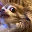 meerkatwobbles515