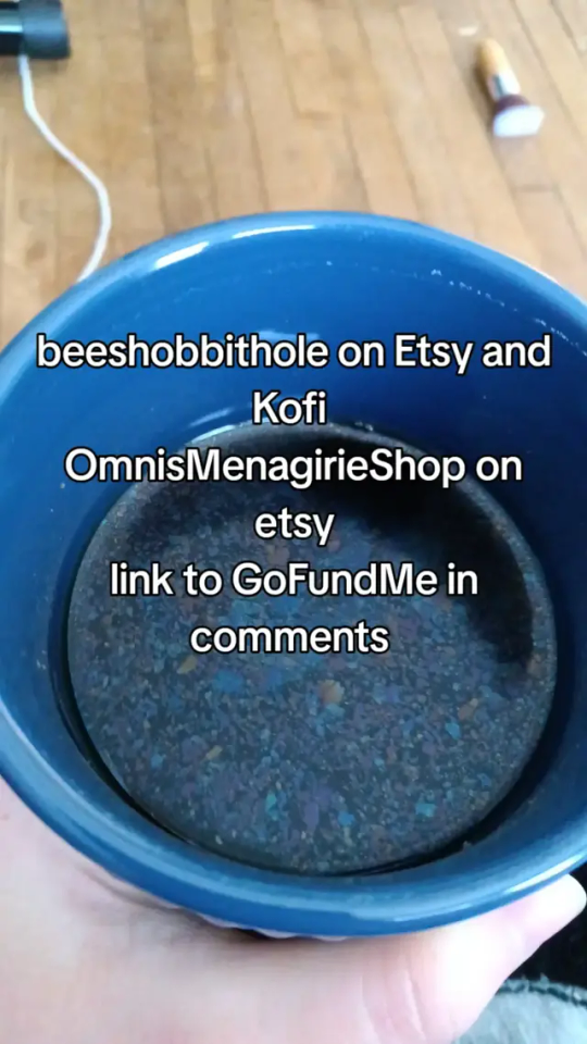 Https://gofund.me/8b842ecc. 