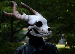  Hellhound Skull Mask  by  ericstrother 