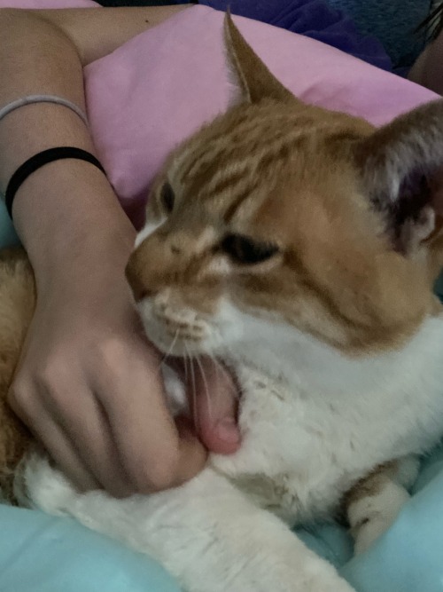 Id Like For You All To Bear Witness To My Special Little Man, His Name Is Bread.